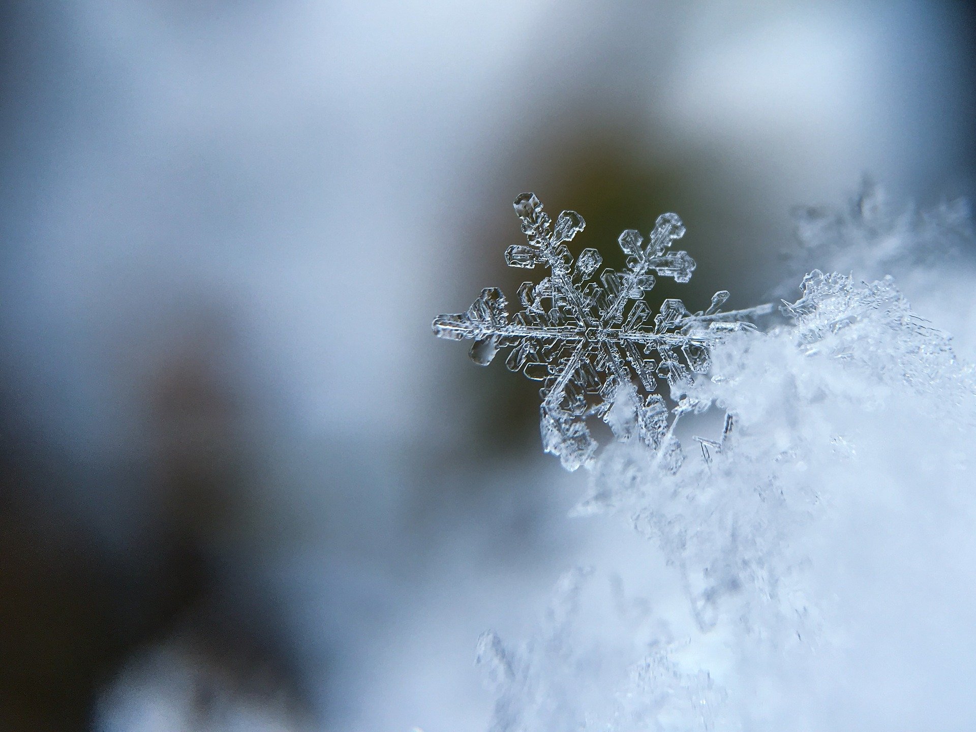 雪の華